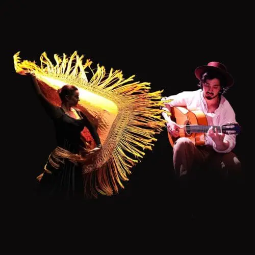 Flamenco dancer and guitarist in a live performance