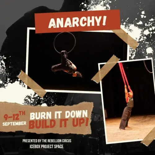 graphic design showing two photos of performers on an aerial Lyra and an aerial hammock