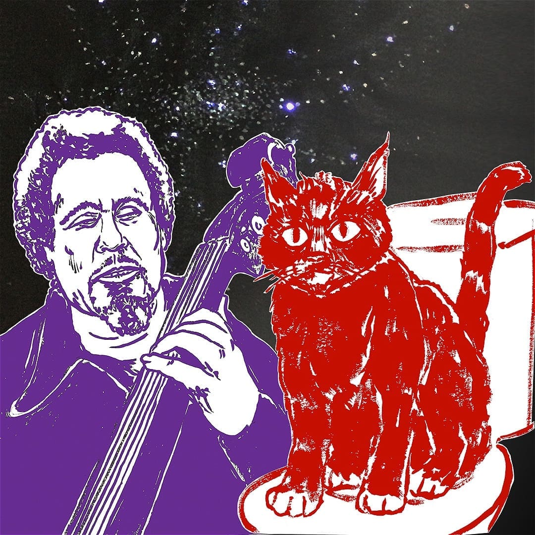 Mingus and TOILET TRAIN YOUR CAT