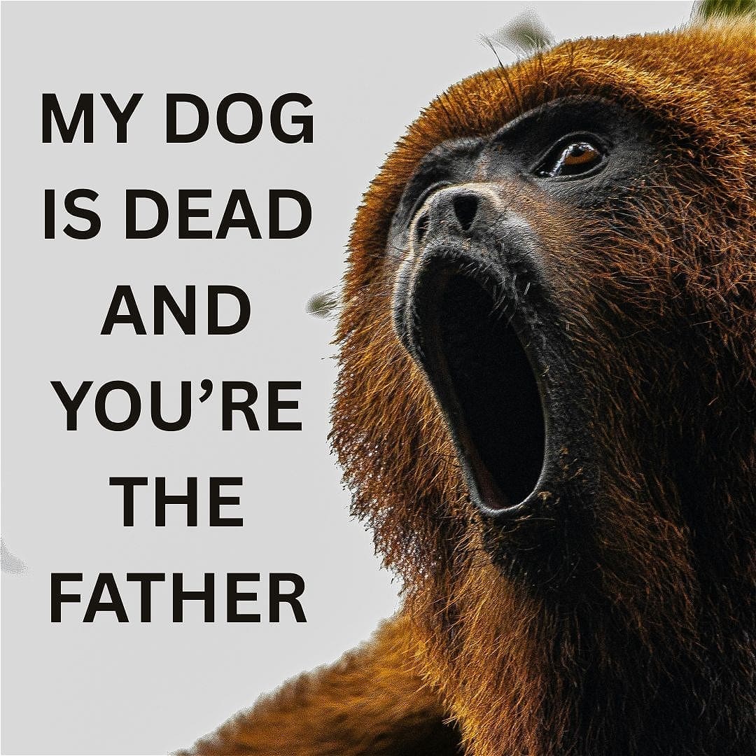 My Dog is Dead and You’re the Father