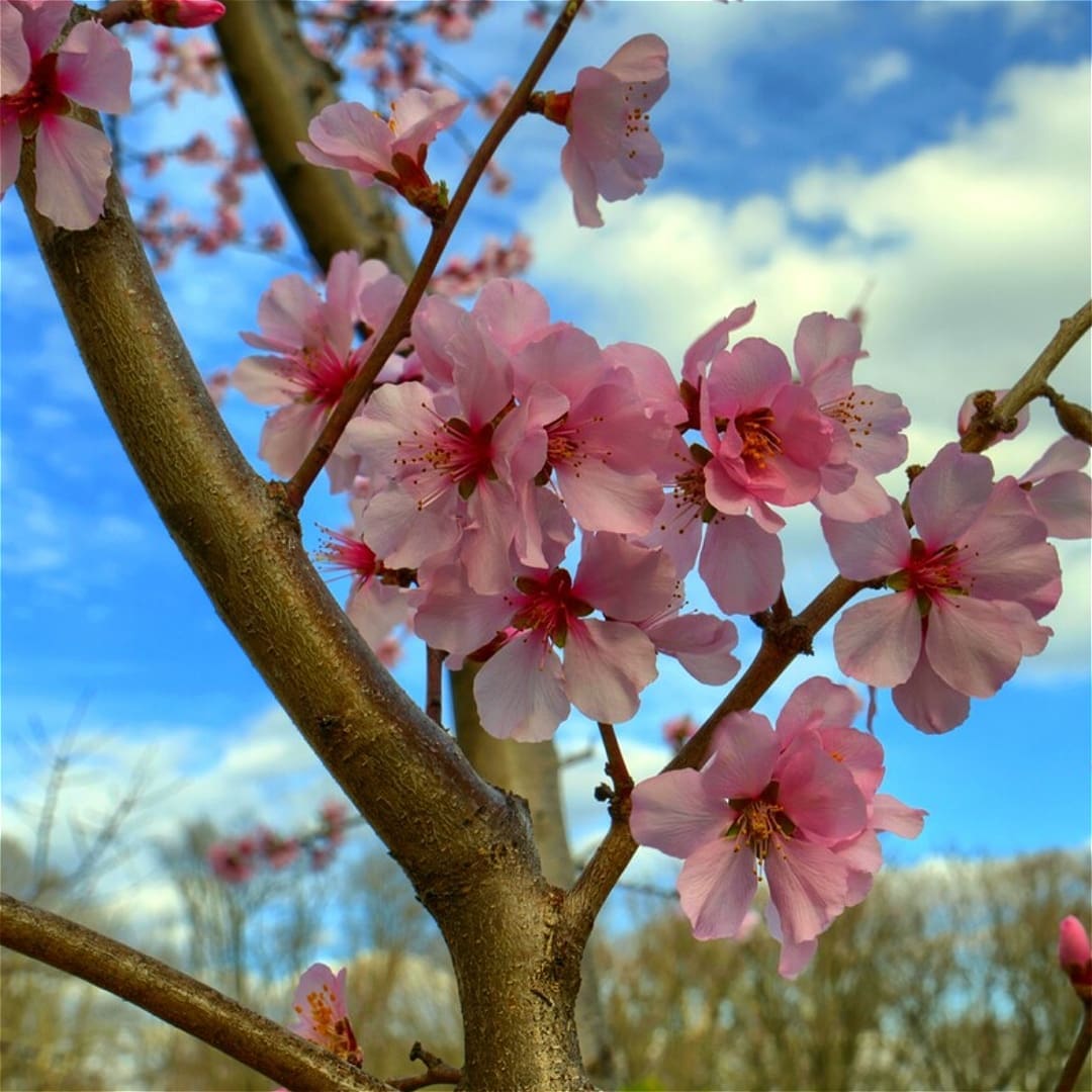 Bartram’s Garden Photo Exhibit at Studio 34
