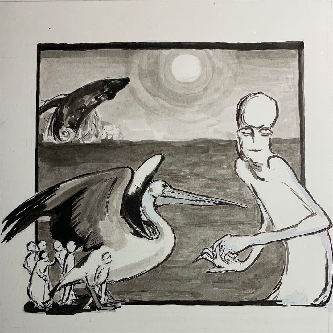 The Pelican and The Whale